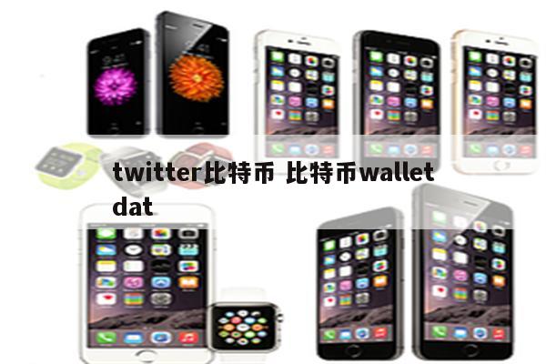 twitter比特币 比特币walletdat