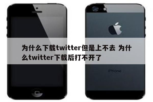 为什么下载twitter但是上不去 为什么twitter下载后打不开了