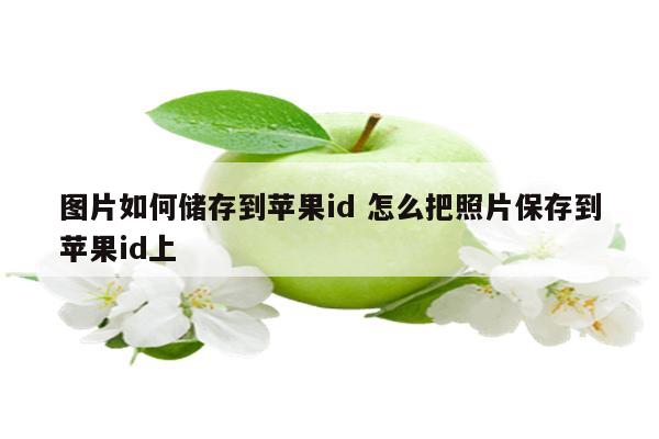 图片如何储存到苹果id 怎么把照片保存到苹果id上