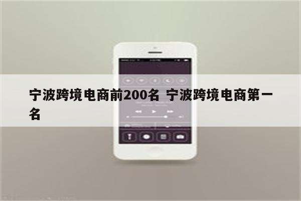 宁波跨境电商前200名 宁波跨境电商第一名