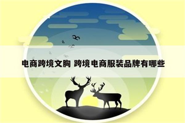 电商跨境文胸 跨境电商服装品牌有哪些