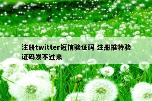 注册twitter短信验证码 注册推特验证码发不过来