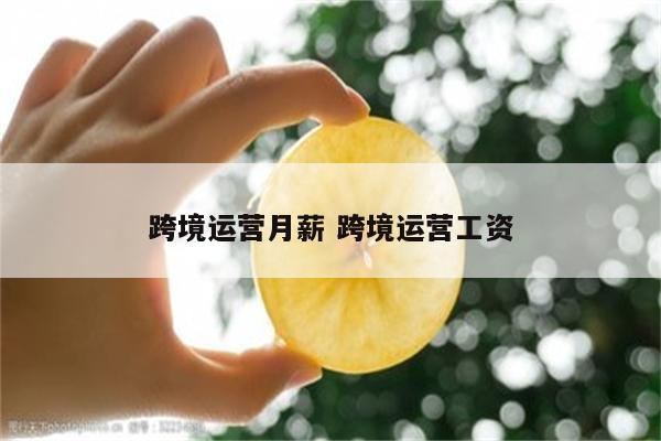 跨境运营月薪 跨境运营工资