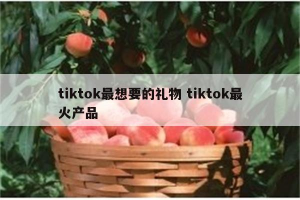 tiktok最想要的礼物 tiktok最火产品