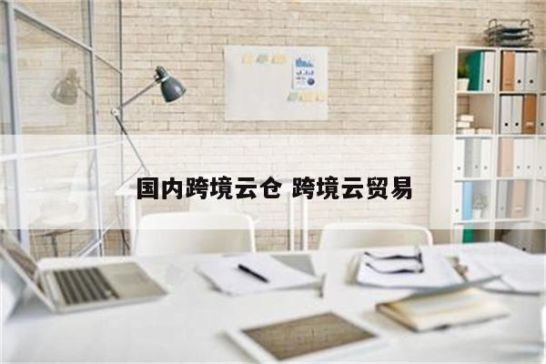 国内跨境云仓 跨境云贸易