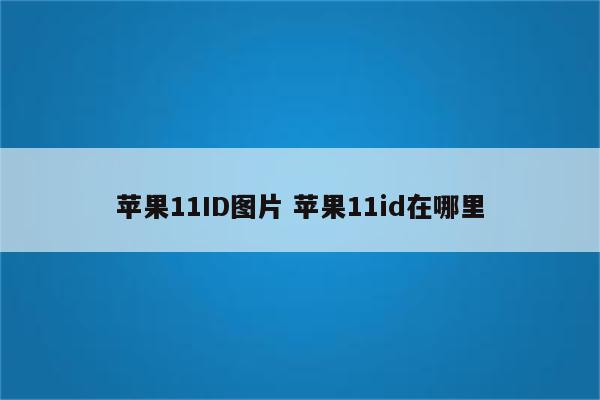 苹果11ID图片 苹果11id在哪里