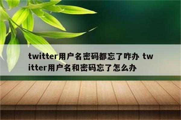 twitter用户名密码都忘了咋办 twitter用户名和密码忘了怎么办