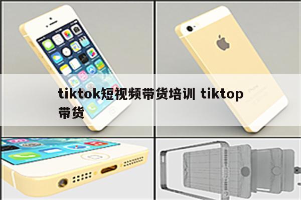 tiktok短视频带货培训 tiktop带货