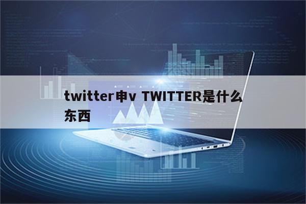 twitter申v TWITTER是什么东西