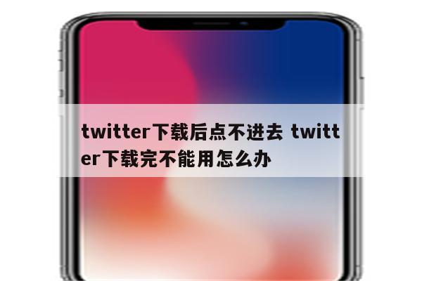 twitter下载后点不进去 twitter下载完不能用怎么办