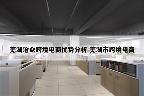 芜湖沧众跨境电商优势分析 芜湖市跨境电商