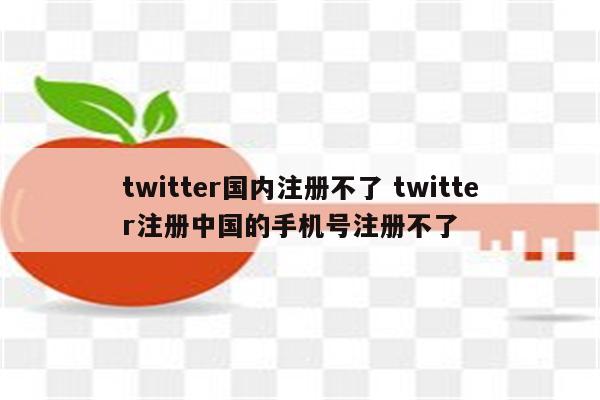 twitter国内注册不了 twitter注册中国的手机号注册不了