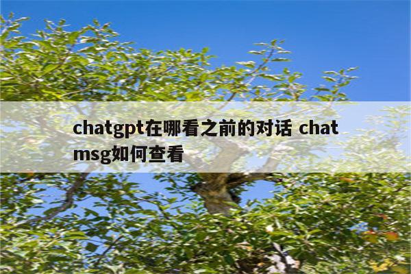 chatgpt在哪看之前的对话 chatmsg如何查看