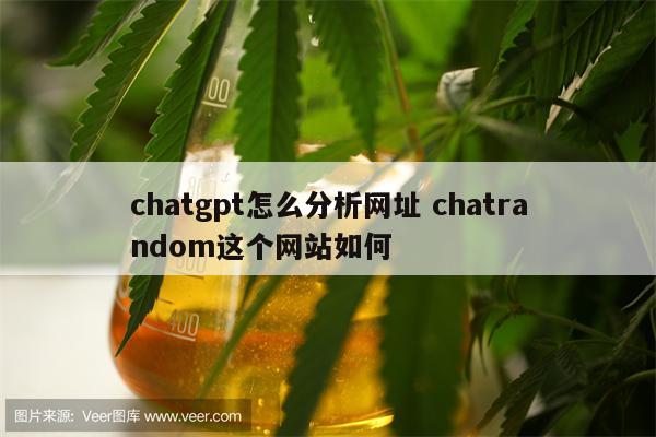 chatgpt怎么分析网址 chatrandom这个网站如何