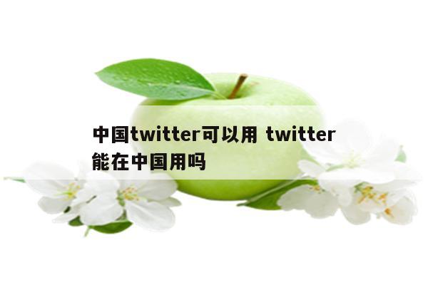 中国twitter可以用 twitter能在中国用吗