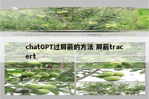 chatGPT过屏蔽的方法 屏蔽tracert