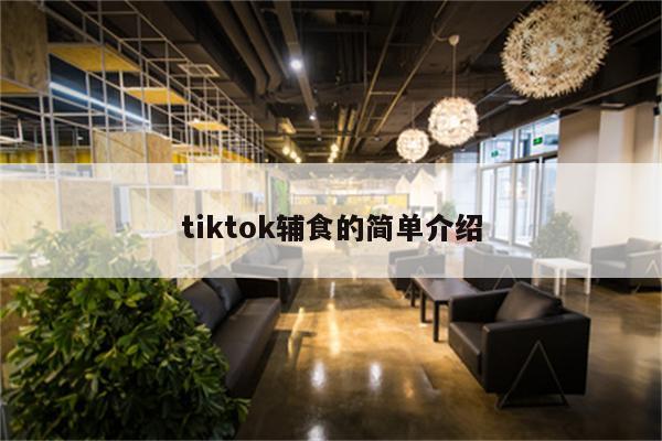 tiktok辅食的简单介绍