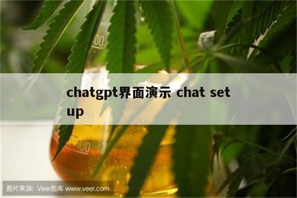 chatgpt界面演示 chat setup