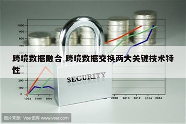 跨境数据融合 跨境数据交换两大关键技术特性