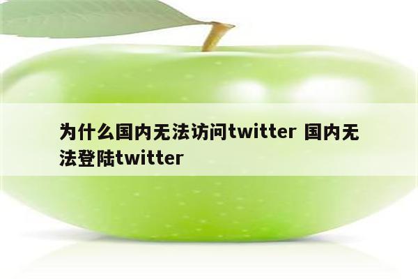 为什么国内无法访问twitter 国内无法登陆twitter