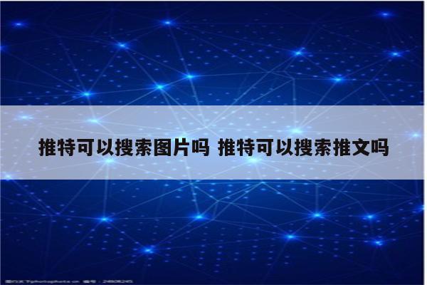 推特可以搜索图片吗 推特可以搜索推文吗