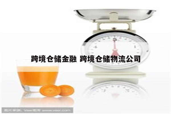 跨境仓储金融 跨境仓储物流公司