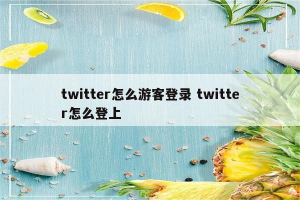 twitter怎么游客登录 twitter怎么登上