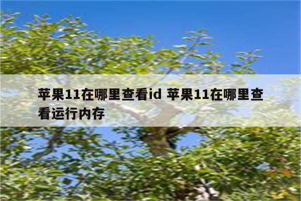 苹果11在哪里查看id 苹果11在哪里查看运行内存