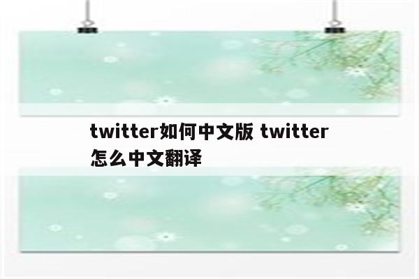 twitter如何中文版 twitter怎么中文翻译