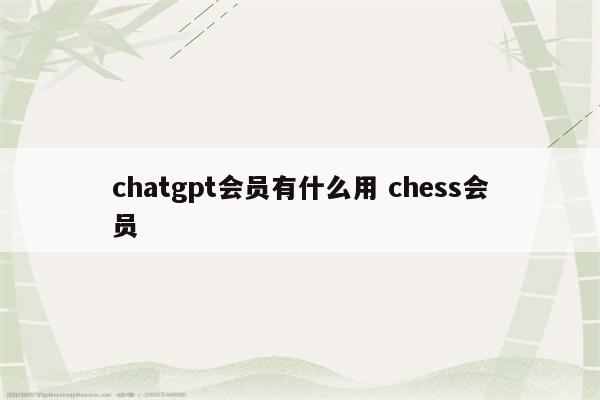 chatgpt会员有什么用 chess会员