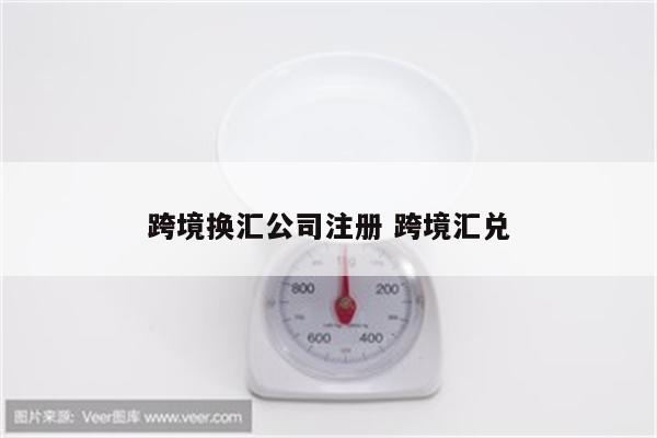 跨境换汇公司注册 跨境汇兑