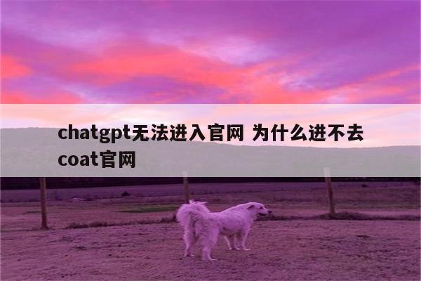 chatgpt无法进入官网 为什么进不去coat官网