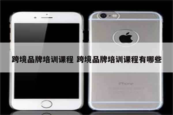 跨境品牌培训课程 跨境品牌培训课程有哪些