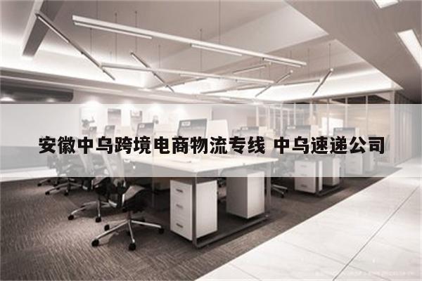 安徽中乌跨境电商物流专线 中乌速递公司
