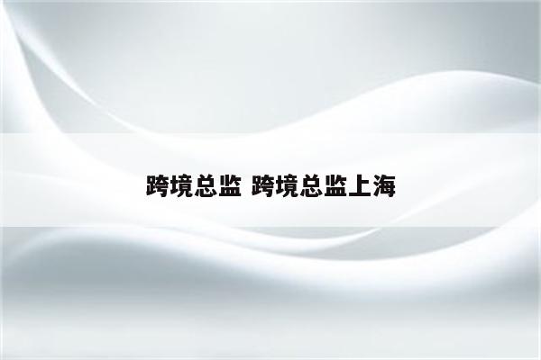 跨境总监 跨境总监上海