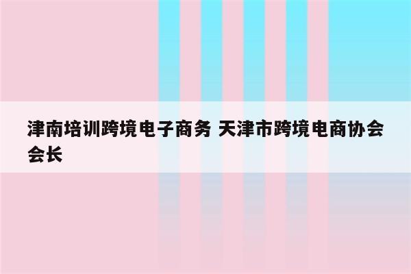 津南培训跨境电子商务 天津市跨境电商协会会长