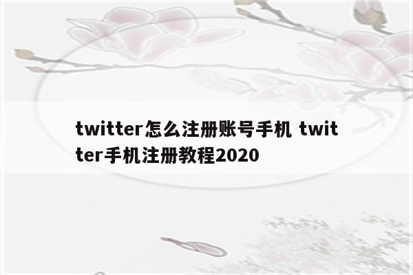 twitter怎么注册账号手机 twitter手机注册教程2020