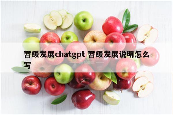 暂缓发展chatgpt 暂缓发展说明怎么写