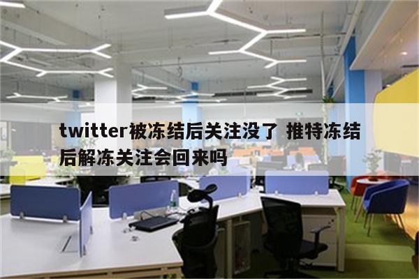 twitter被冻结后关注没了 推特冻结后解冻关注会回来吗