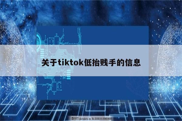 关于tiktok低抬贱手的信息