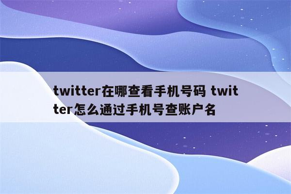 twitter在哪查看手机号码 twitter怎么通过手机号查账户名