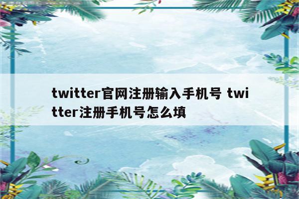 twitter官网注册输入手机号 twitter注册手机号怎么填