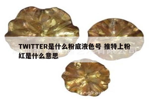 TWITTER是什么粉底液色号 推特上粉红是什么意思