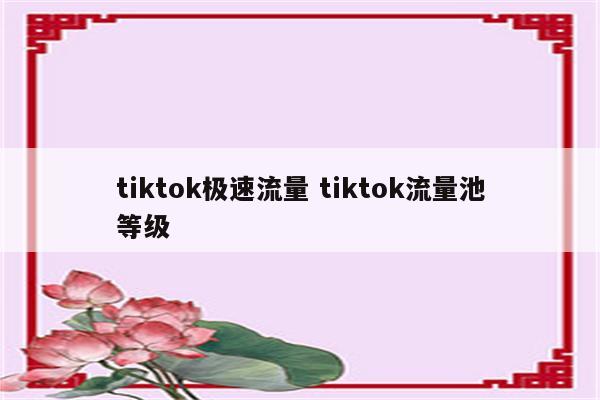 tiktok极速流量 tiktok流量池等级
