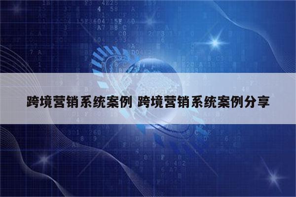 跨境营销系统案例 跨境营销系统案例分享