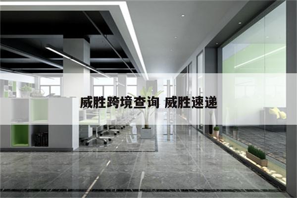 威胜跨境查询 威胜速递