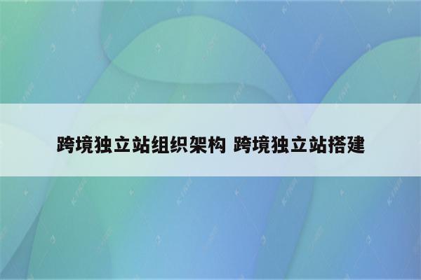 跨境独立站组织架构 跨境独立站搭建