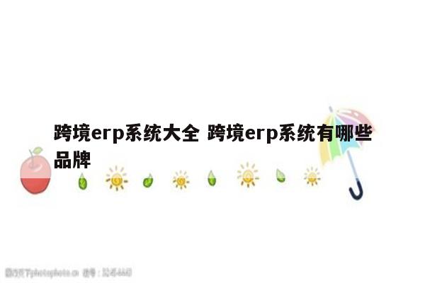 跨境erp系统大全 跨境erp系统有哪些品牌