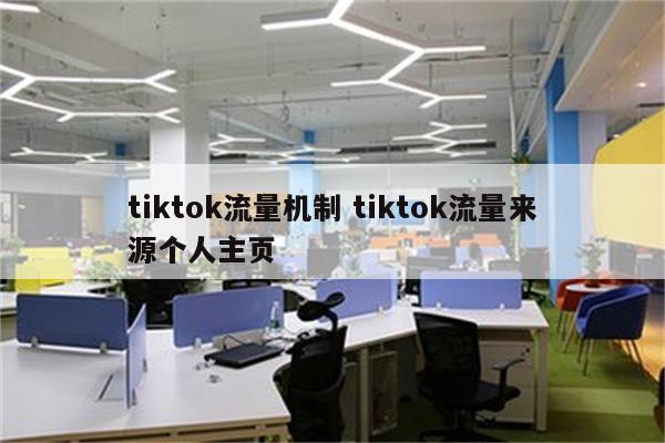 tiktok流量机制 tiktok流量来源个人主页