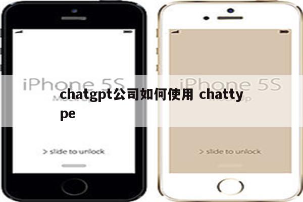 chatgpt公司如何使用 chattype